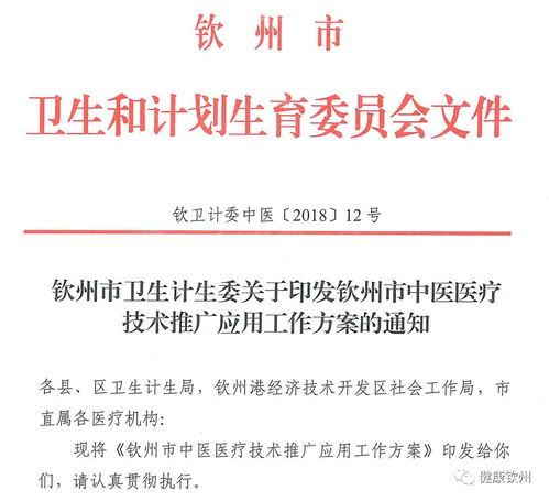 權威發(fā)布丨官宣 欽州中醫(yī)醫(yī)療技術推廣應用工作這樣做